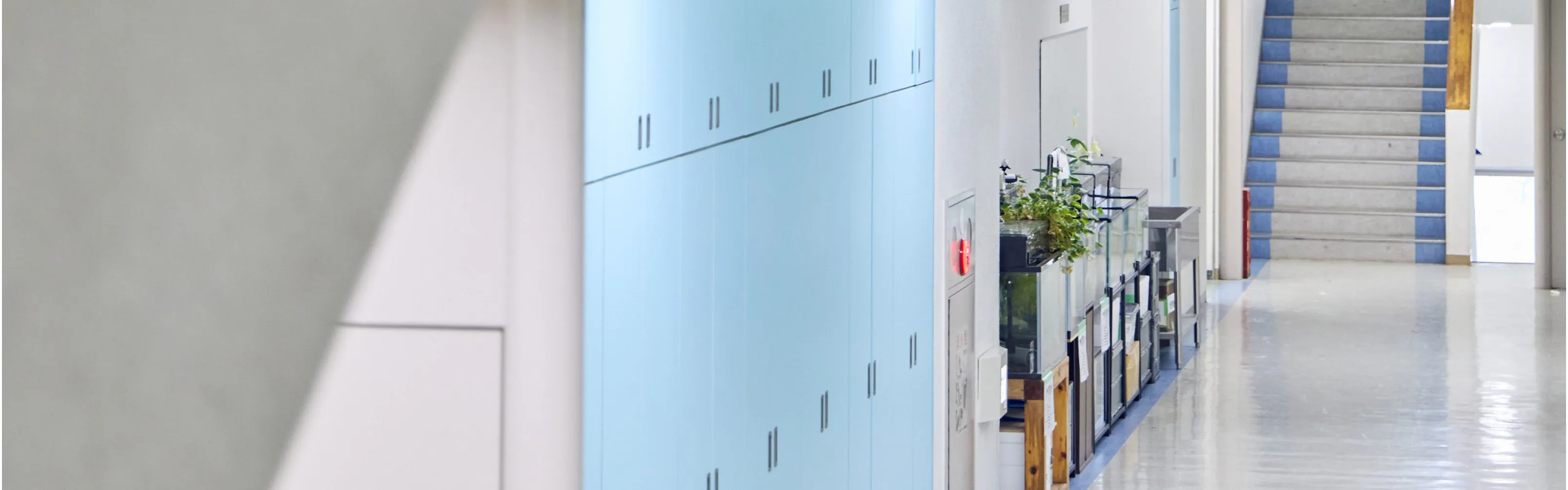 穎明館中学高等学最 EMK未来プロジェクト メインビジュアル