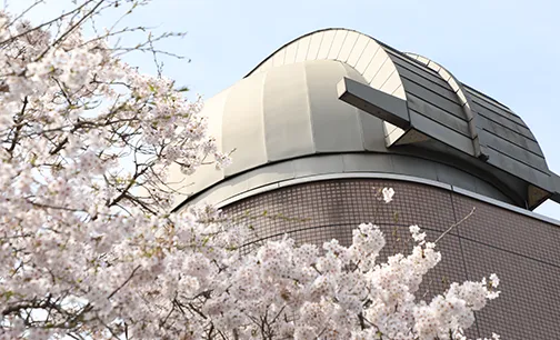 プライバシーポリシー