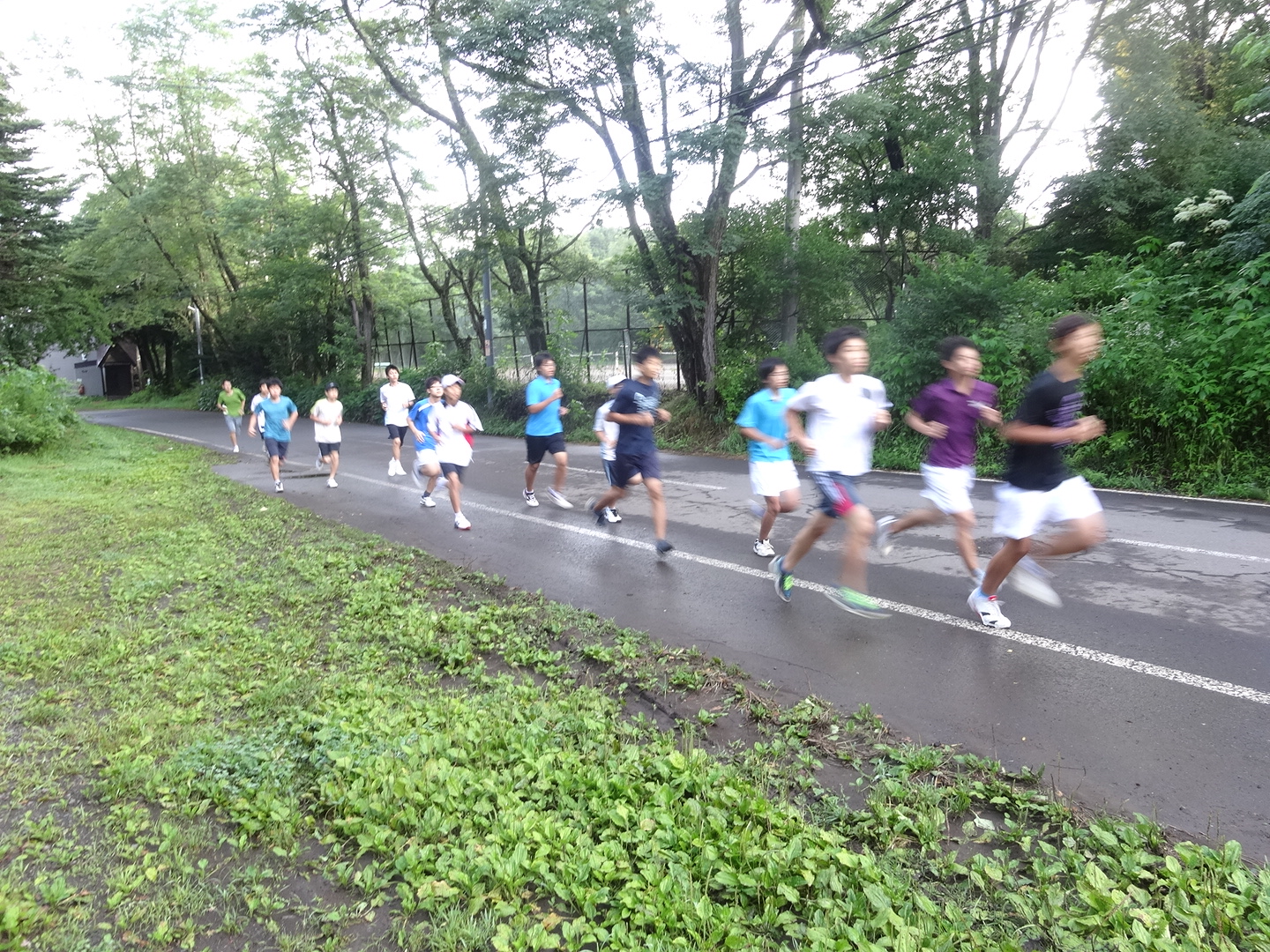 3日め朝-サニアパークまでランニング