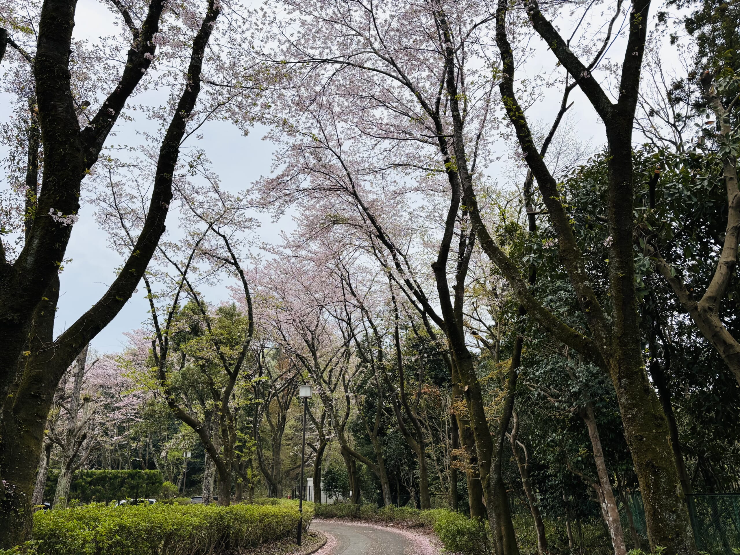 2026年度新入生登校日