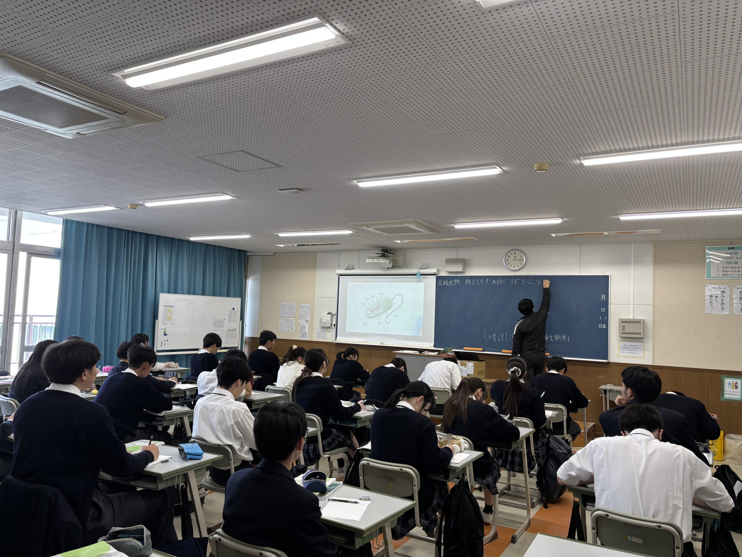 5年生文系　生物基礎