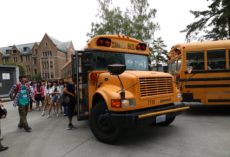 Yellow School Buses